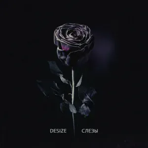 Desize - Слезы