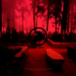 Fundamentalist - Terrible Century