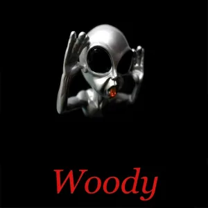 Woody - Jaklro Marje & Didl Lara