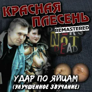 Красная Плесень - Прощай