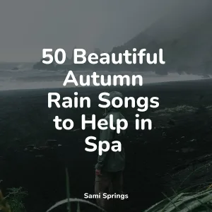 PowerThoughts Meditation Club, Childrens Music, Pet Care Music Therapy - Forest, Night, Frogs