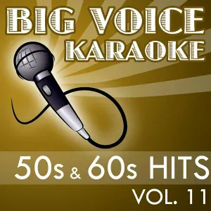 Big Voice Karaoke - My Prayer (In the Style of The Platters) [Karaoke Version]