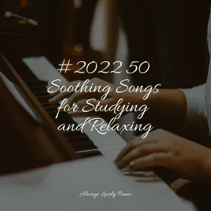 Concentrate with Classical Piano, Calming Music Academy, Brain Study Music Guys - Sunset Serenade