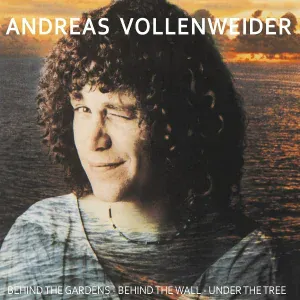 Andreas Vollenweider - Afternoon
