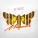 DIP Project - Мотылёк