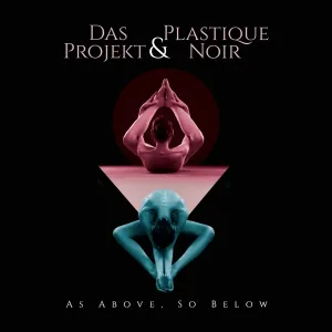 Das Projekt, Plastique Noir - Ann in the Dark Room