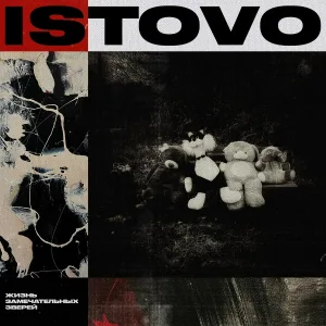 ISTOVO - Зачем?