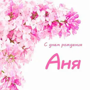 Пакет конфет - С днем рождения Аня