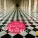 Tomaso Albinoni - Adagio for Strings and Organ