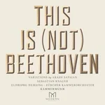 Arash Safaian, Sebastian Knauer, Zürcher Kammerorchester, Eldbjørg Hemsing - Kammermusik