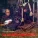 Trond-Viggo Torgersen - Gi bort blues