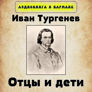 Аудиокнига в кармане, Максим Доронин - Глава X