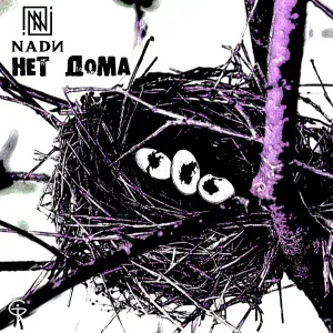 NADИ - Нет дома