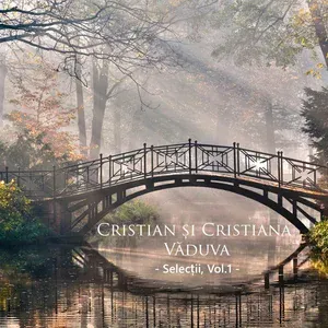 Cristian și Cristiana Văduva - Israel