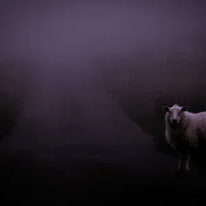 nøave - back when