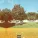Curtis Damage - MaHillSong