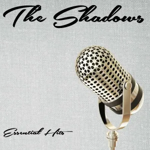 The Shadows - Don T Be a Fool With Love