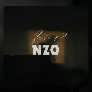 NZO - Зачем?