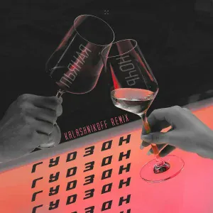 ГУДЗОН - Пьяная ночь (KalashnikoFF Remix)