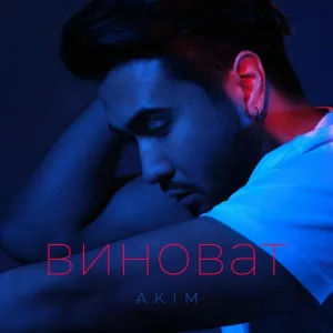 Akim - Виноват