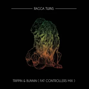 Ragga Twins - Trippin & Bunnin