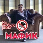 Мафик - Не любила розы