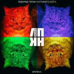 Любимые песни настиного кота - Про это