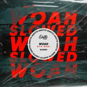 WYR GEMI - WOAH (Slowed)