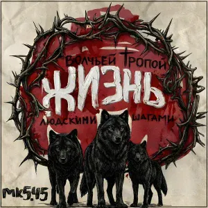 МК 5.45 - Судьба