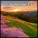 Soothing Music, Yoga, Relaxation Music - Yoga Music