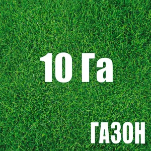 Газон - Бонни и клайд