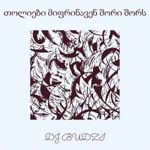 DJ BUDZI - თოლიები მიფრინავენ შორი შორს