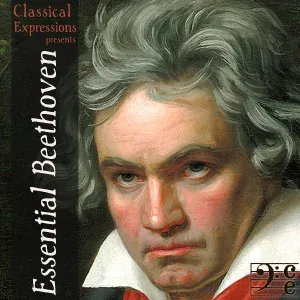 Various Artists - Symphony No. 5 in C Minor, Op. 67: IV. Allegro