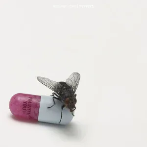 Red Hot Chili Peppers - Apache Rose Peacock