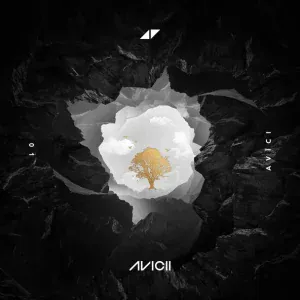Avicii feat. Rita Ora - Lonely Together
