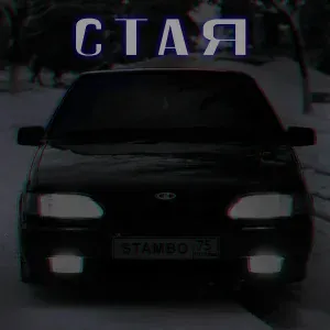 Stambo - Стая