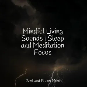 White Noise Relaxation, Study Power, Yoga Music - Pebbles on the Beach