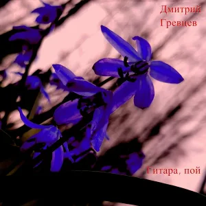 Дмитрий Гревцев - Гитара, пой