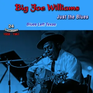 Big Joe Williams - Tailor Made Babe