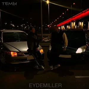 EYDEMILLER - Темы