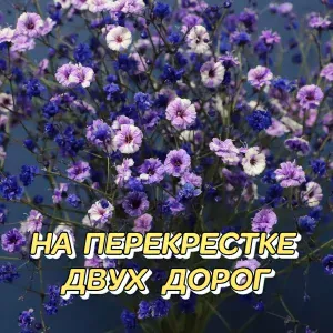 Сергей Грищук - ЖИЗНЬ ИДЁТ