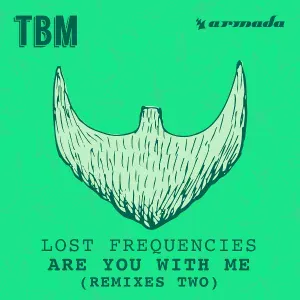 Lost Frequencies - Are You With Me