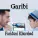 Fariduni Khurshed - Garibi