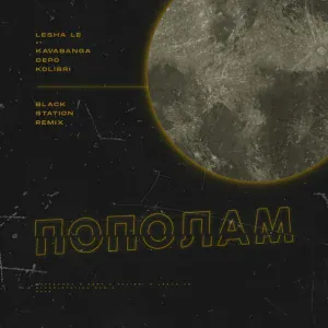 Леша Лэ feat. kavabanga Depo kolibri - Пополам (Black Station Remix)