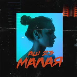 Аш 23 - Малая