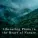 Hugo Focus - Tranquility Beyond the Hills