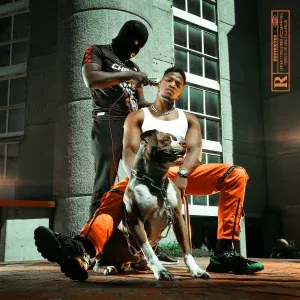Niska feat. Koba LaD - Tous les couler