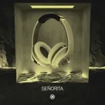 Level 8 & Britt Lari & imallryt - Señorita (Magic Cover Release)