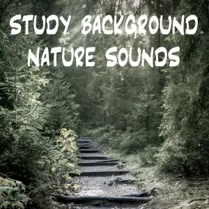 Nature Sounds - Rhythmic Water