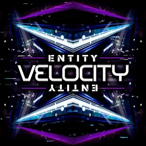 Entity - Digitiser